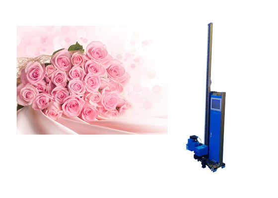 Wand-Drucker-Direct Wall Painting-Maschine Soems Zkmc 2880dpi 3d automatische vertikale