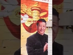 Automatic Wall Inkjet Printer Photo Printing on Brick Wall